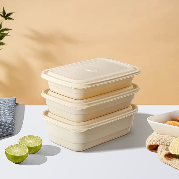 Disposable Cornstarch Food Container Rectangle With Lid